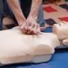 Adult Manikin